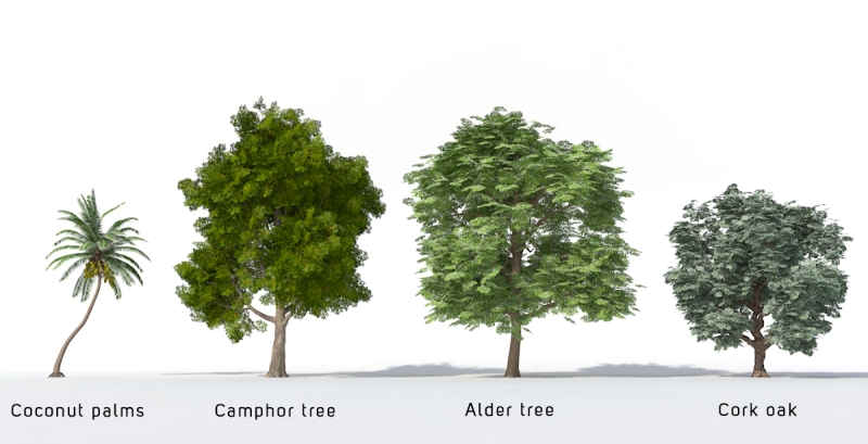 Alberi 3D - Volume 23